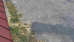 Nástup na běžecké tratě