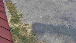 Nástup na běžecké tratě