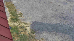 Nástup na běžecké tratě