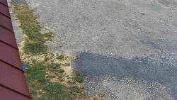 Nástup na běžecké tratě