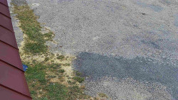 Nástup na běžecké tratě