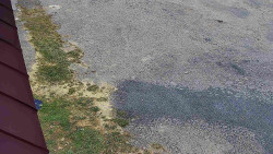 Nástup na běžecké tratě