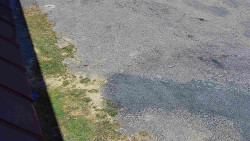 Nástup na běžecké tratě