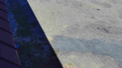 Nástup na běžecké tratě