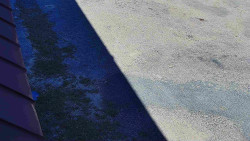 Nástup na běžecké tratě