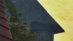 Nástup na běžecké tratě