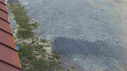 Nástup na běžecké tratě