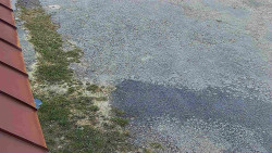 Nástup na běžecké tratě