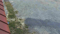 Nástup na běžecké tratě