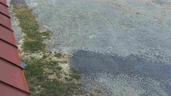 Nástup na běžecké tratě