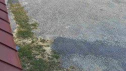 Nástup na běžecké tratě