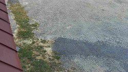 Nástup na běžecké tratě