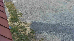 Nástup na běžecké tratě