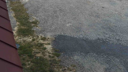 Nástup na běžecké tratě