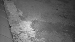 Nástup na běžecké tratě