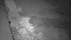 Nástup na běžecké tratě