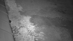 Nástup na běžecké tratě