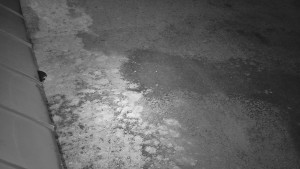 SkiAreál - Horský hotel Vsacký Cáb - Nástup na běžecké tratě - 8.4.2026 v 01:15 SkiAreál - Horský hotel Vsacký Cáb - Nástup na běžecké tratě - 8.4.2026 v 01:15