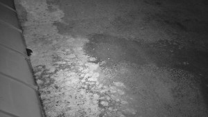 SkiAreál - Horský hotel Vsacký Cáb - Nástup na běžecké tratě - 8.4.2026 v 02:15 SkiAreál - Horský hotel Vsacký Cáb - Nástup na běžecké tratě - 8.4.2026 v 02:15