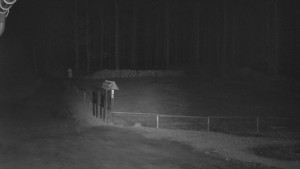 SkiAreál - Horský hotel Vsacký Cáb - Nástup na běžecké tratě - 8.4.2026 v 03:00 SkiAreál - Horský hotel Vsacký Cáb - Nástup na běžecké tratě - 8.4.2026 v 03:00