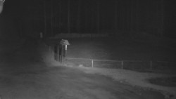 Nástup na běžecké tratě