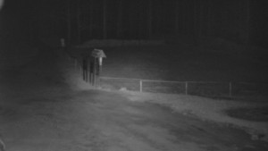 SkiAreál - Horský hotel Vsacký Cáb - Nástup na běžecké tratě - 8.4.2026 v 03:30 SkiAreál - Horský hotel Vsacký Cáb - Nástup na běžecké tratě - 8.4.2026 v 03:30