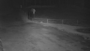 SkiAreál - Horský hotel Vsacký Cáb - Nástup na běžecké tratě - 8.4.2026 v 04:00 SkiAreál - Horský hotel Vsacký Cáb - Nástup na běžecké tratě - 8.4.2026 v 04:00