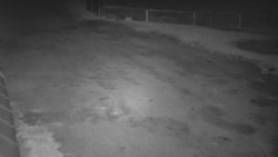 Nástup na běžecké tratě