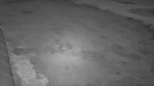 SkiAreál - Horský hotel Vsacký Cáb - Nástup na běžecké tratě - 8.4.2026 v 05:30 SkiAreál - Horský hotel Vsacký Cáb - Nástup na běžecké tratě - 8.4.2026 v 05:30