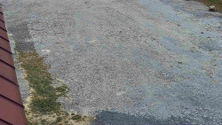 Nástup na běžecké tratě