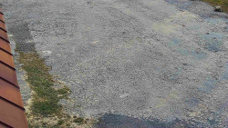 Nástup na běžecké tratě