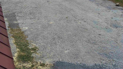 Nástup na běžecké tratě