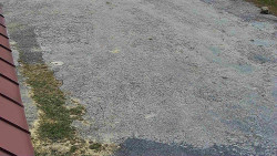 Nástup na běžecké tratě