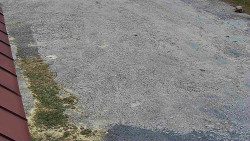 Nástup na běžecké tratě