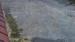 Nástup na běžecké tratě