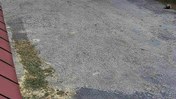 Nástup na běžecké tratě