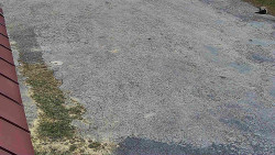 Nástup na běžecké tratě