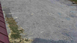 Nástup na běžecké tratě