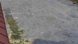 Nástup na běžecké tratě