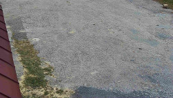 Nástup na běžecké tratě