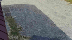 Nástup na běžecké tratě