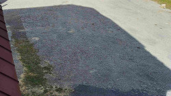 Nástup na běžecké tratě