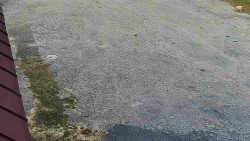 Nástup na běžecké tratě