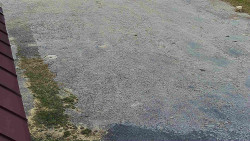 Nástup na běžecké tratě