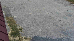 Nástup na běžecké tratě