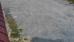 Nástup na běžecké tratě