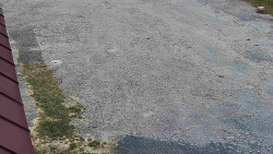 Nástup na běžecké tratě