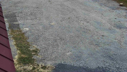 Nástup na běžecké tratě