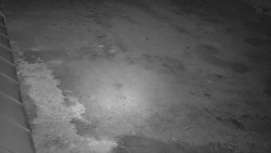 Nástup na běžecké tratě