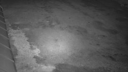 Nástup na běžecké tratě